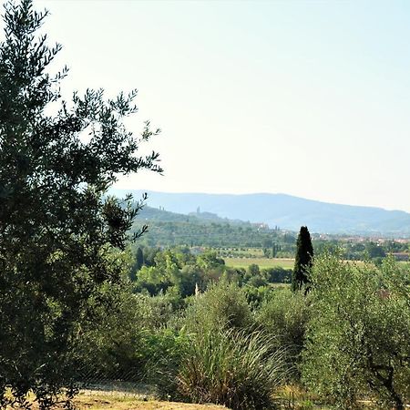 Casa Cesira Lägenhet Arezzo Exteriör bild