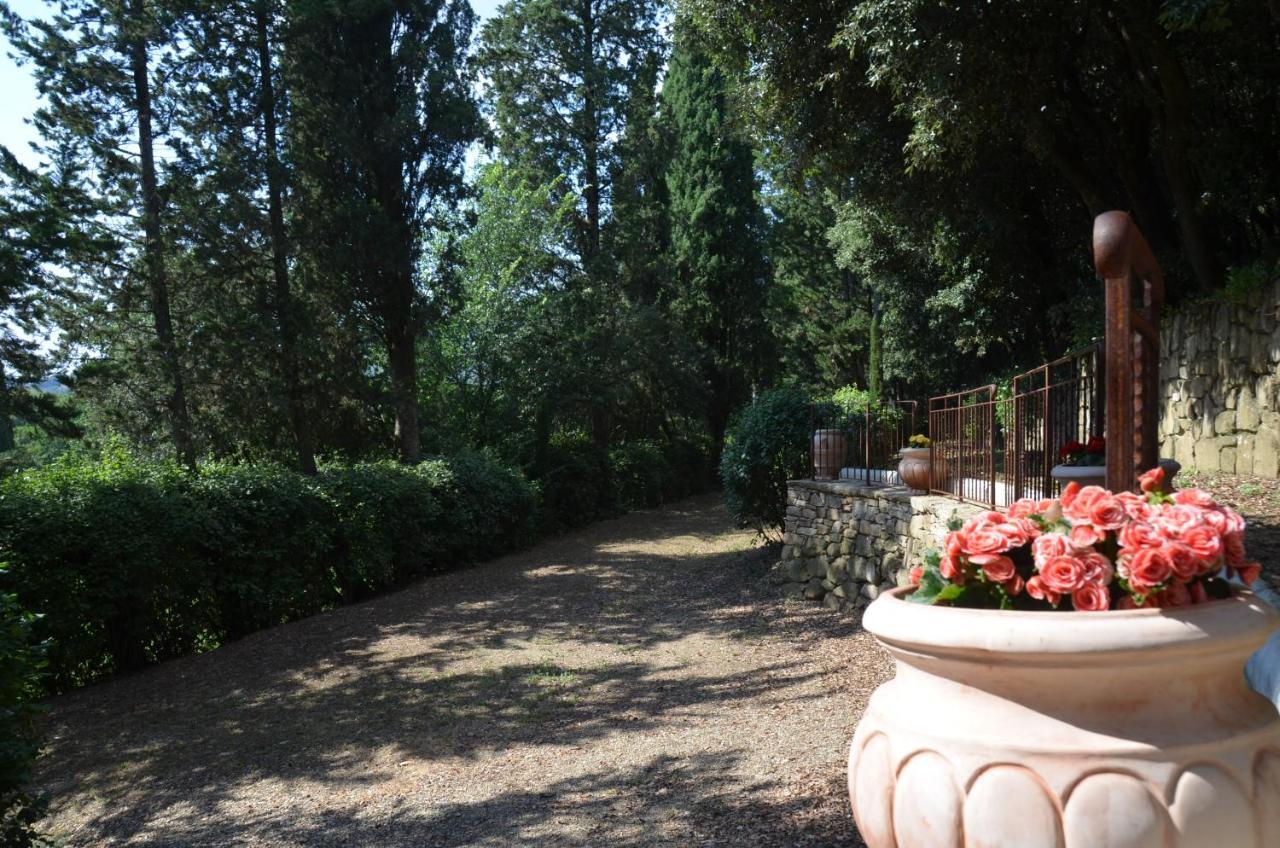 Casa Cesira Lägenhet Arezzo Exteriör bild